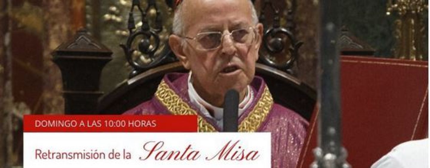 TVCyL retrasmite, mañana a las 10h., la Misa de Domingo de Ramos, presidida por D Ricardo Blázquez