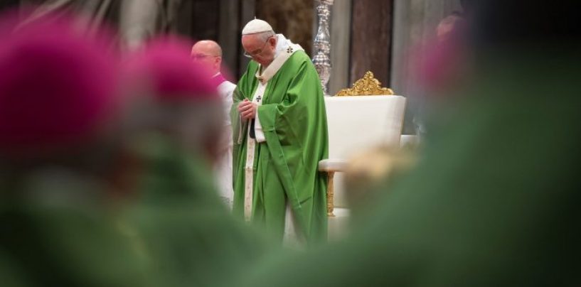 Papa Francisco: “Que haya paz en las familias y unidad en la Iglesia”