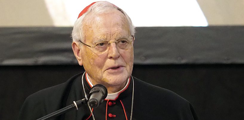 El cardenal Amigo evoluciona favorablemente tras la intervención quirúrgica en la cadera